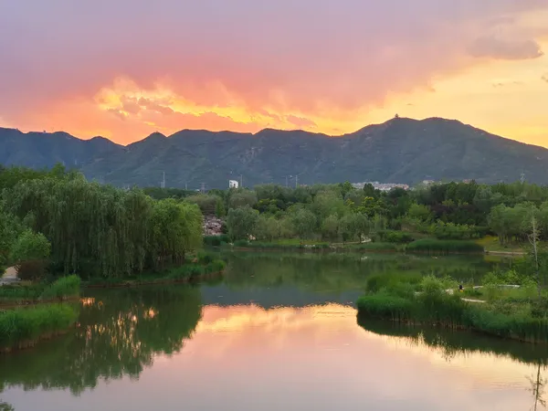 0_IMG_20240609_193054