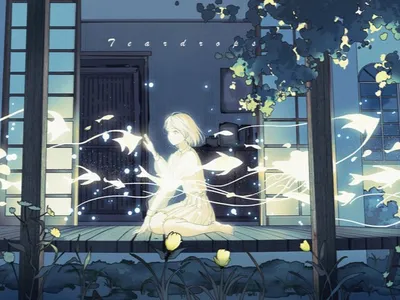 当白蝴蝶萝莉降临到我身边